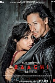 Baaghi (2016) Hindi HD