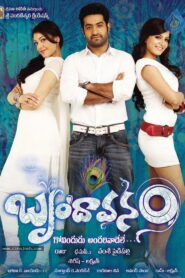 The Super Khiladi (Brindaavanam) (2010) Hindi Dubbed