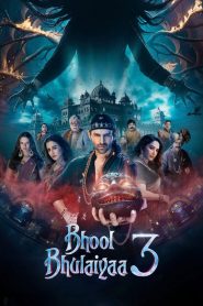 Bhool Bhulaiyaa 3 (2024) Hindi HD