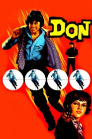 Don (1978) Hindi HD AMZN