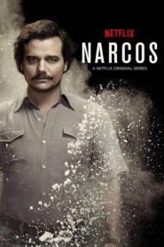 Narcos (2015) Hindi Season 1 Complete