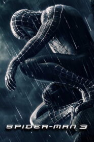 Spider-Man 3 (2007) Hindi Dubbed